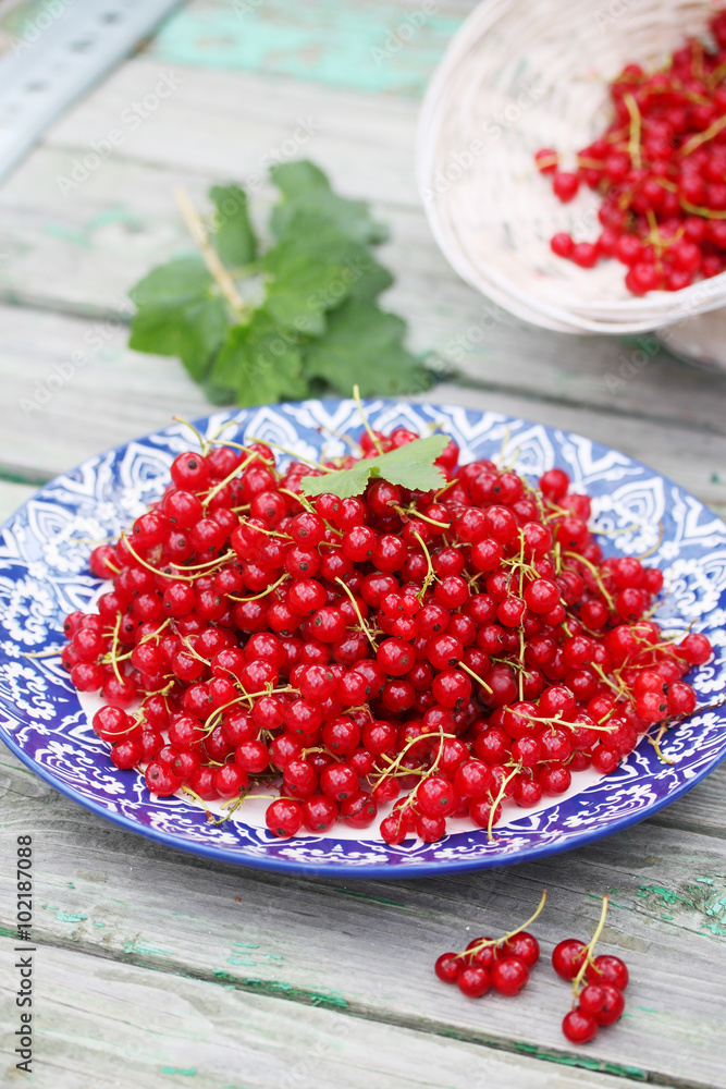 red currants organic red currants on the plate red currants organic red currants on the plate