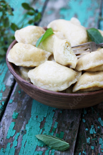 Dumplings with cheese, Ukrainian dish