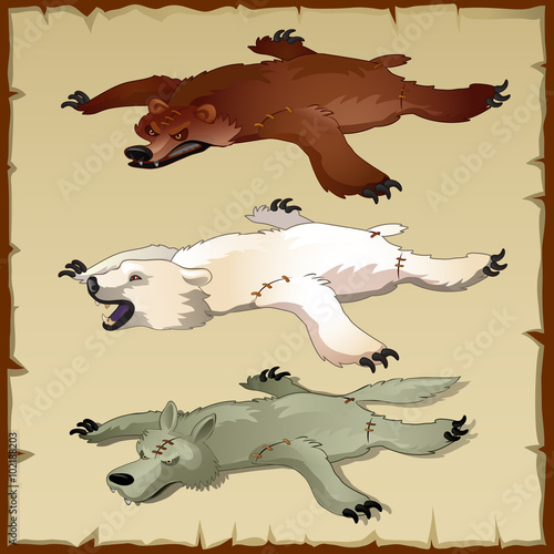 Skins set of forest animals, bears and wolf