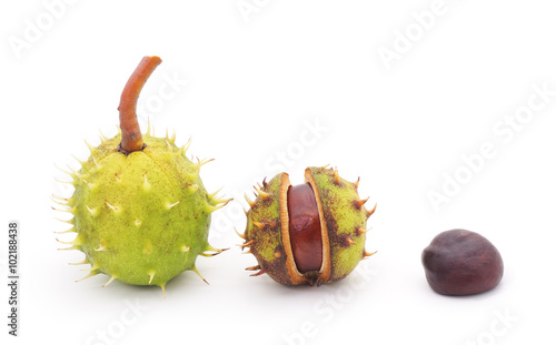 Group chestnuts.