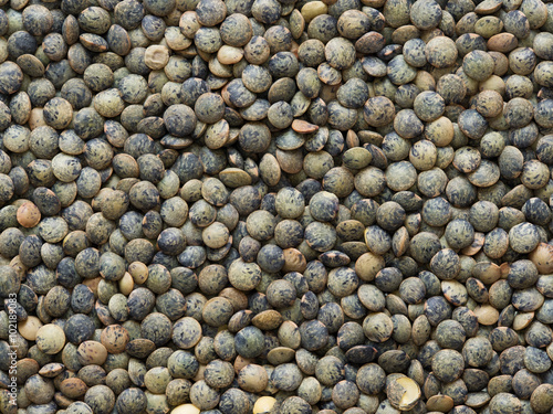 dried french green puy lentil food background