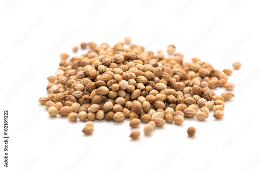 Pile of coriander seeds Pile of coriander seeds