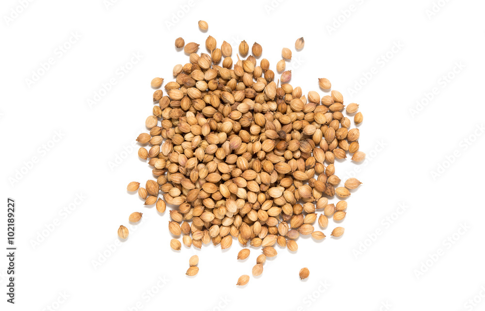 Pile of coriander seeds Pile of coriander seeds