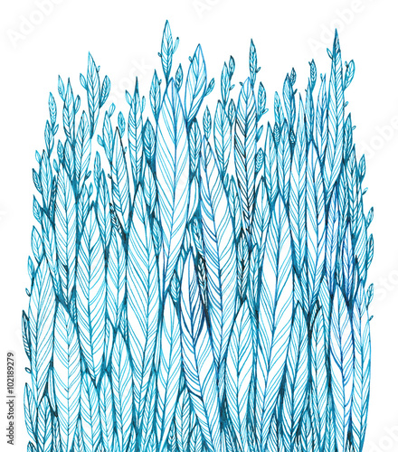 Naklejka pattern of blue leaves, grass, feathers, watercolor ink drawing