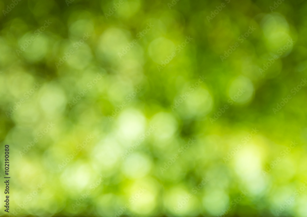 Blurred green lights circular bokeh abstract for Christmas back Blurred green lights circular bokeh abstract for Christmas back
