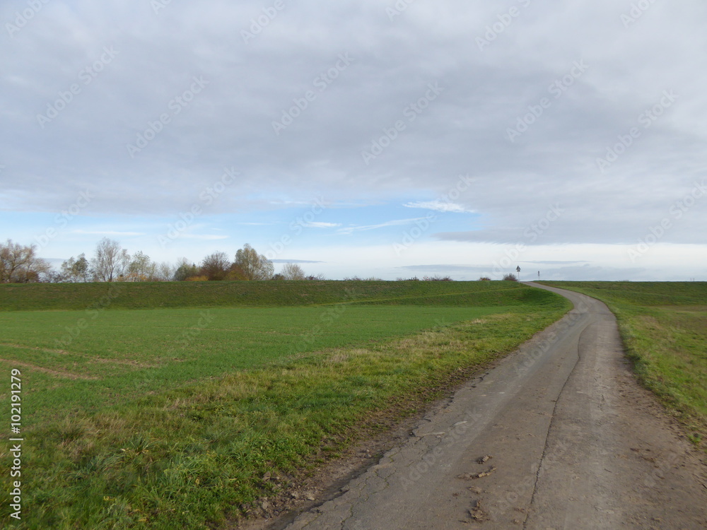 Fototapeta premium Feldweg