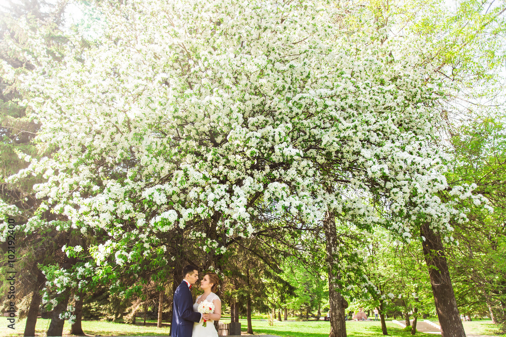 The bride and groom in the spring nature with blooming trees The bride and groom in the spring nature with blooming trees