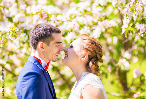 The bride and groom kissing in the spring nature with blooming trees