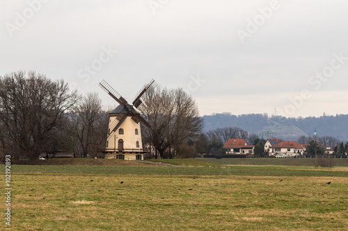 windmühle dresden gohlis photo