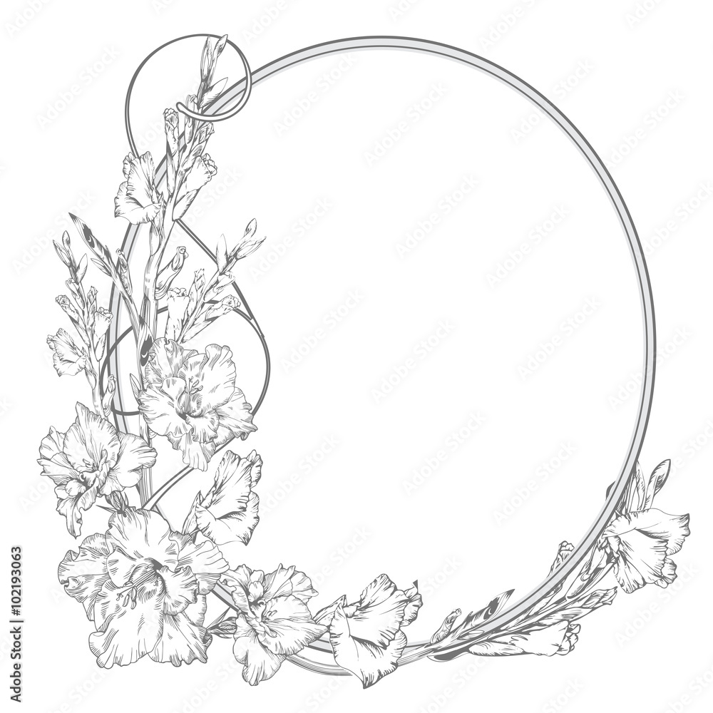 Obraz premium Gladiolus flower. Vintage elegant flowers. Black and white vector illustration. Botany. Vector