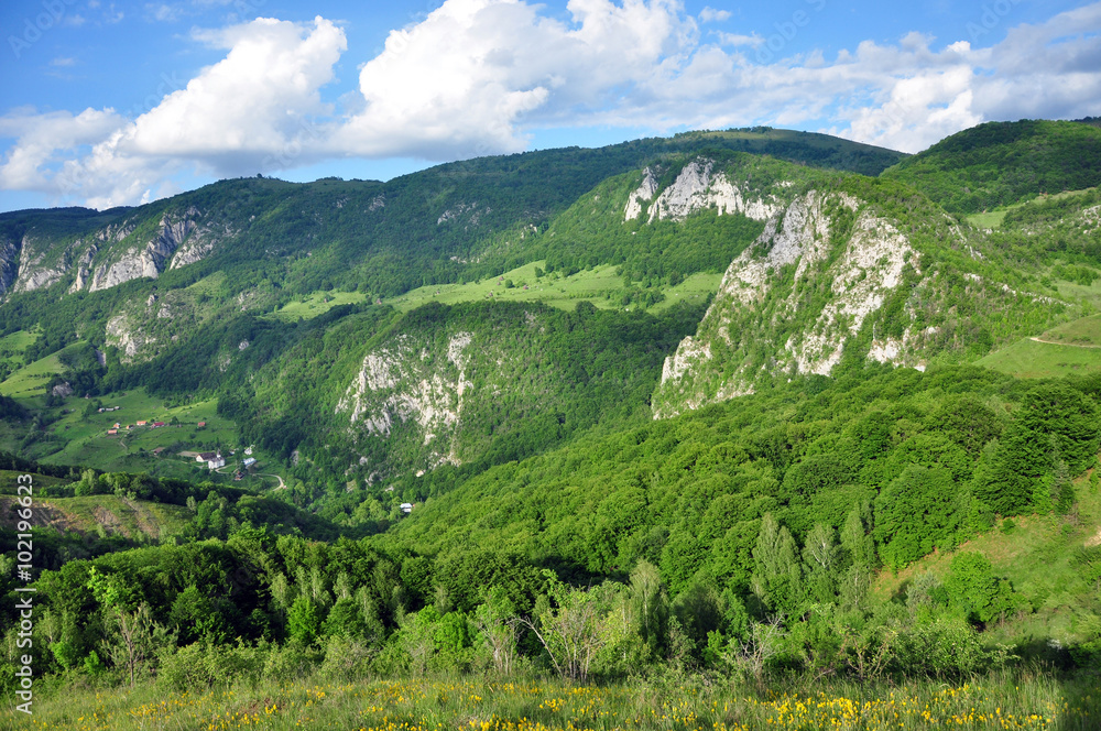Spring landscape in the mountains