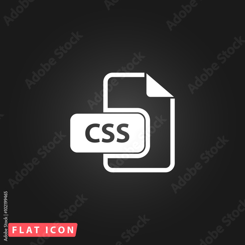 Css file icon vector.