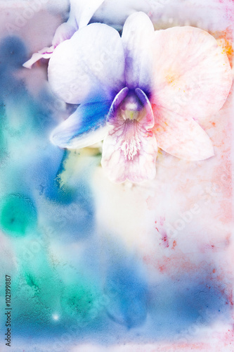 Flower watercolor illustration. © noppanun