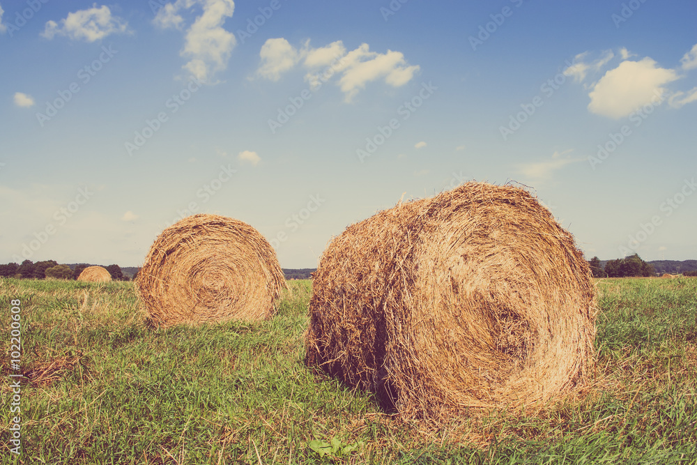 Rural landscape showing straw bales on stubble meadow Rural landscape showing straw bales on stubble meadow
