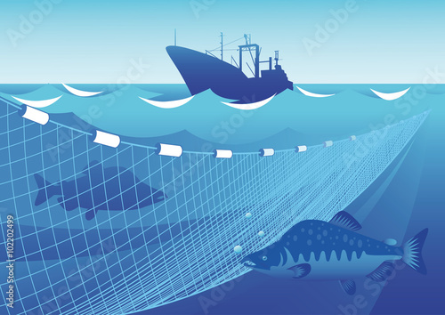 Fishing in the sea