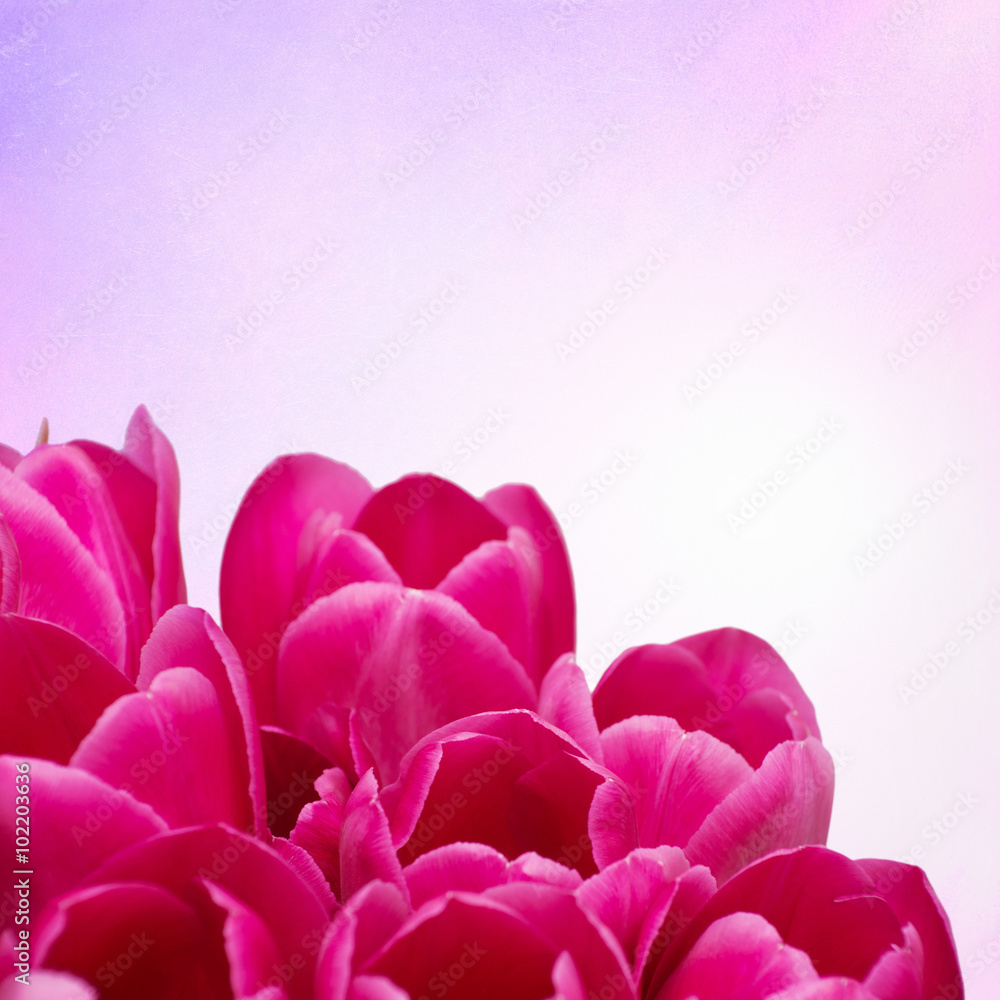 Obraz premium Bouquet from tulips flowers on retro background