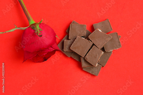 Red rose with chocolate on red background photo