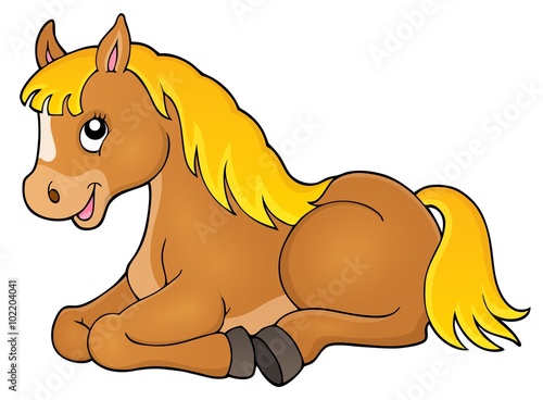 Horse topic image 1
