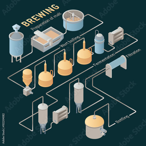Isometric beer brewing process. Vector infographic