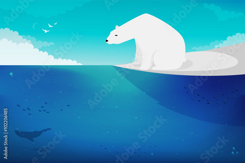 Polar Bear vector illustration