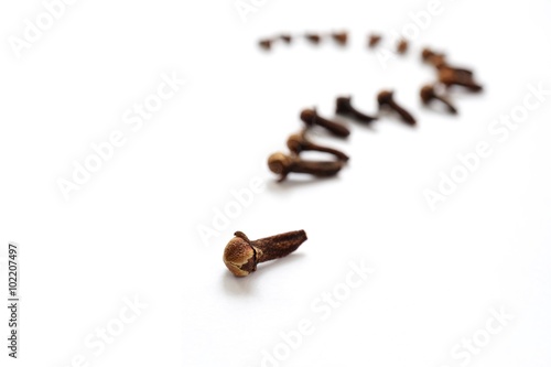 Cloves arranged into the shape of a question mark on a white background to illustrate the concept of uncertainty over the spice's health benefits or culinary uses. Shallow depth of field. © MK Jones