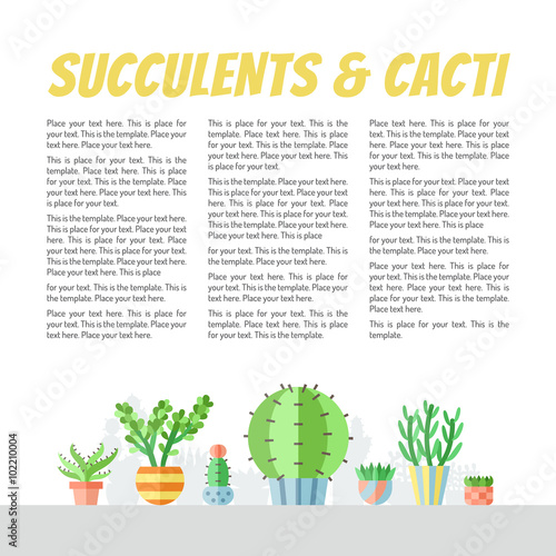 Succulents and cacti flat style multicolored vector backgrounds with place for your text. Modern minimalistic design. Part one.