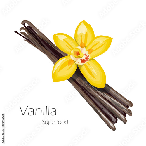 Vanilla flower and pods.