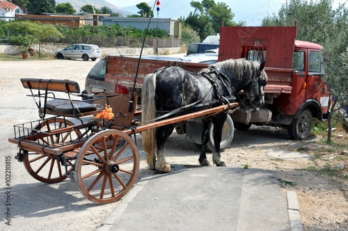 Гужевой транспорт на парковке