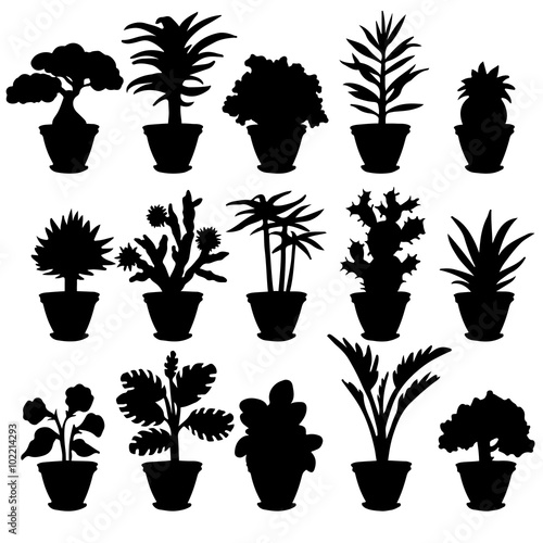 Set black silhouettes various potted houseplants and flowers on a white background isolated
