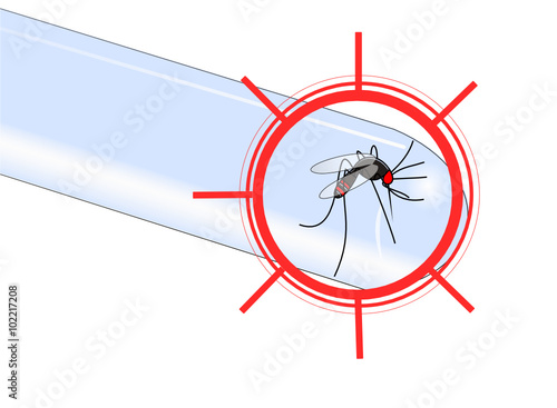 Virus transmis par le moustique