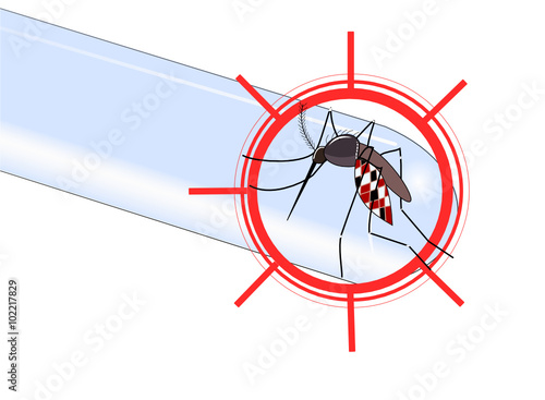 Virus transmis par le moustique