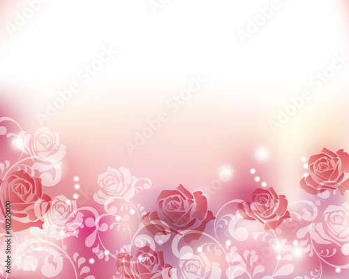 rose background