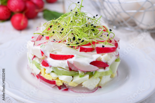 Radish Salad with Cucumber, Eggs and Sour Cream