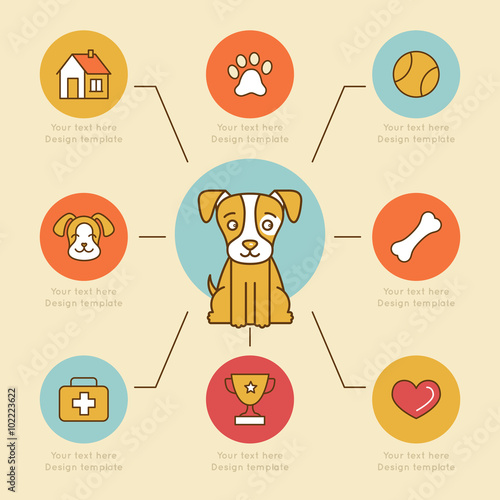 Vector infographics design elements, icons and badges in bright