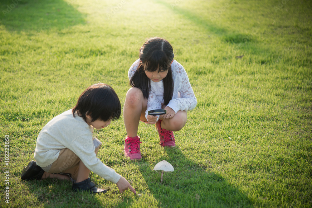 asian children picking mushroom in the park asian children picking mushroom in the park