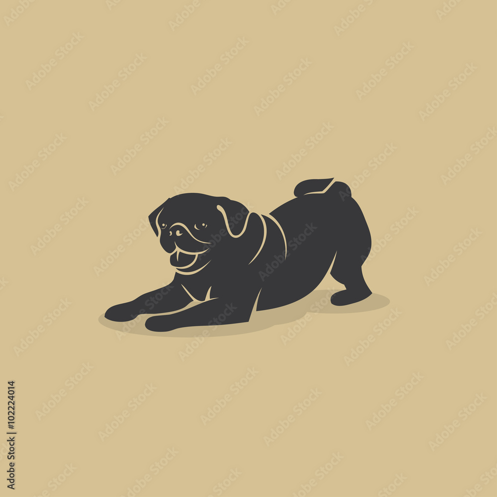 Pug dog Pug dog