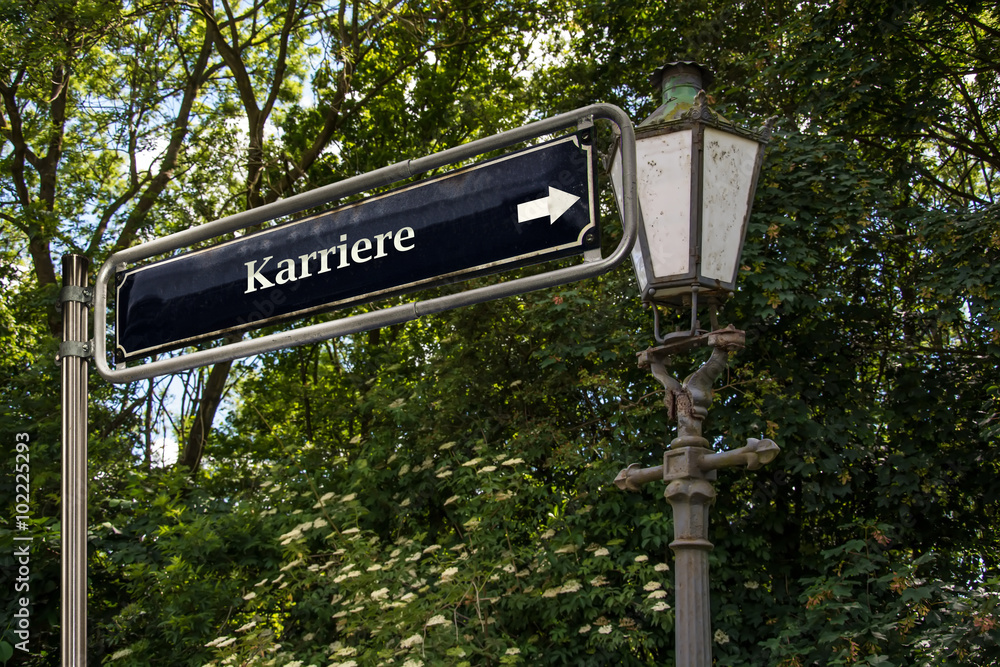 Schild 53 - Karriere