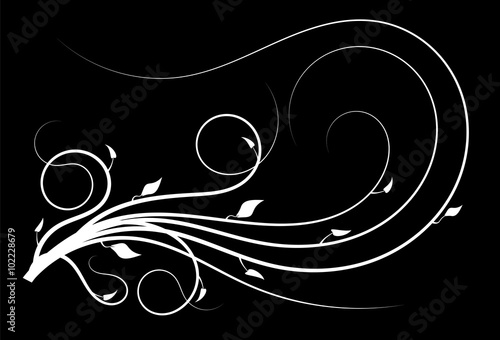 Flourish curves