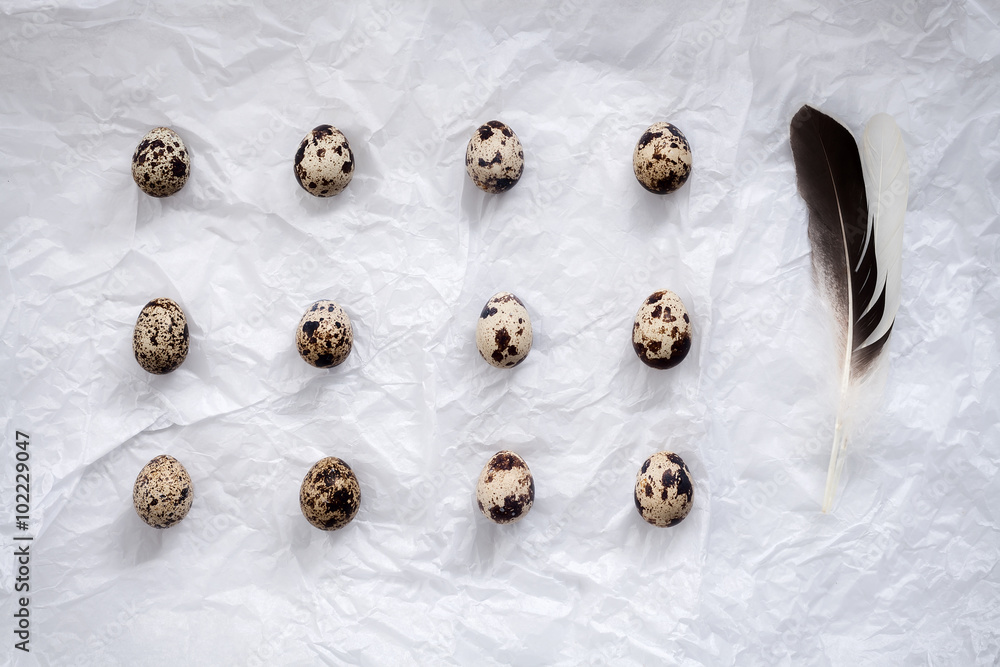 quail eggs flat lay still life with food stylish quail eggs flat lay still life with food stylish