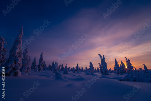 Winter landscape with forest, clouds and sun 
