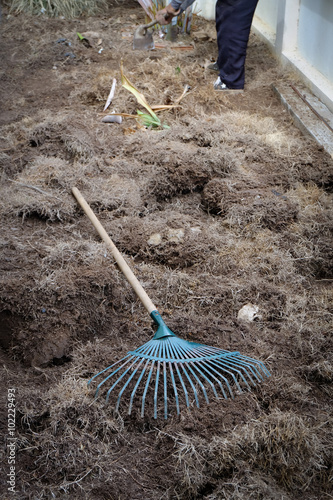 yard work, preparation soil in garden with rake