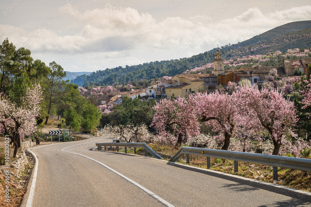 Scenic mountain road Scenic mountain road