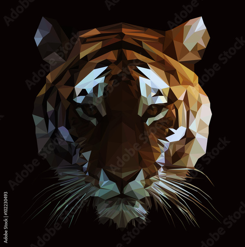 Low Poly Vector Tiger Illustration