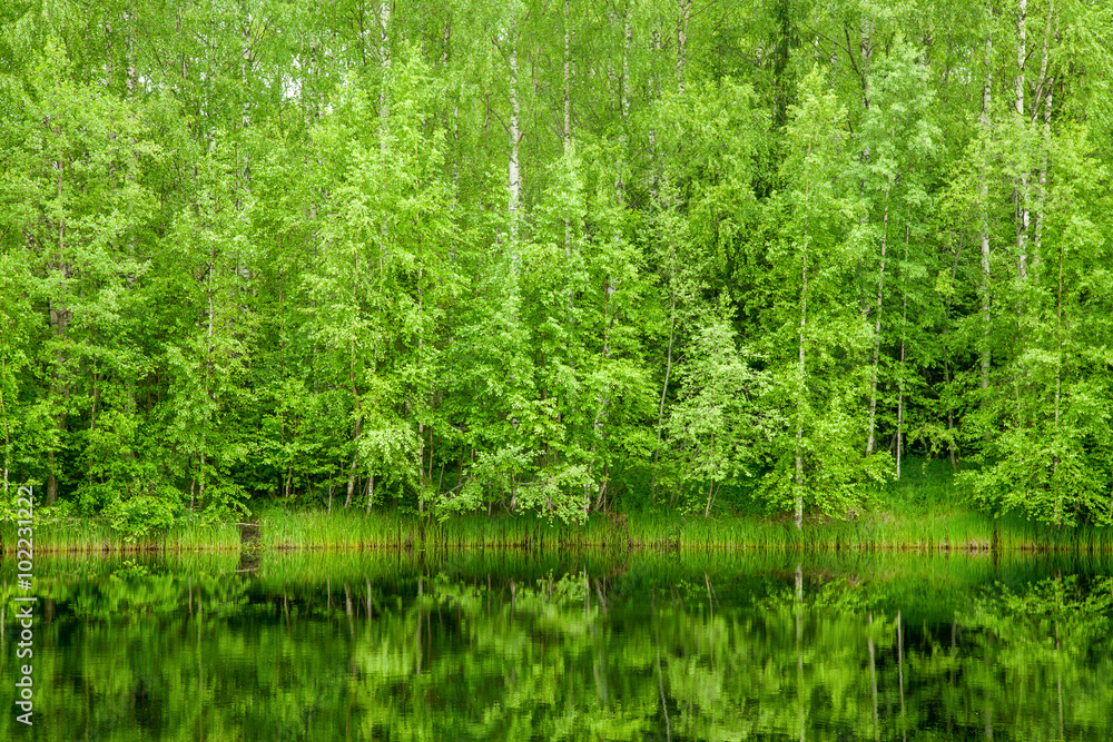 Boreal Forest reflected in river