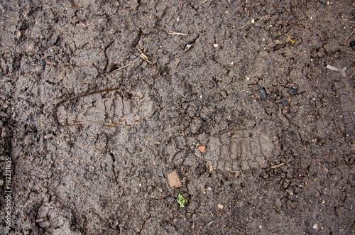 Footprint in the dirt. Brown road dirt with footprints. Background photo texture. Foot mark on the jungle trail. shoeprints in the mud. Dirt field close up background.