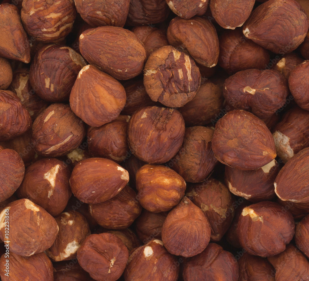 Heap of old hazelnuts Heap of old hazelnuts