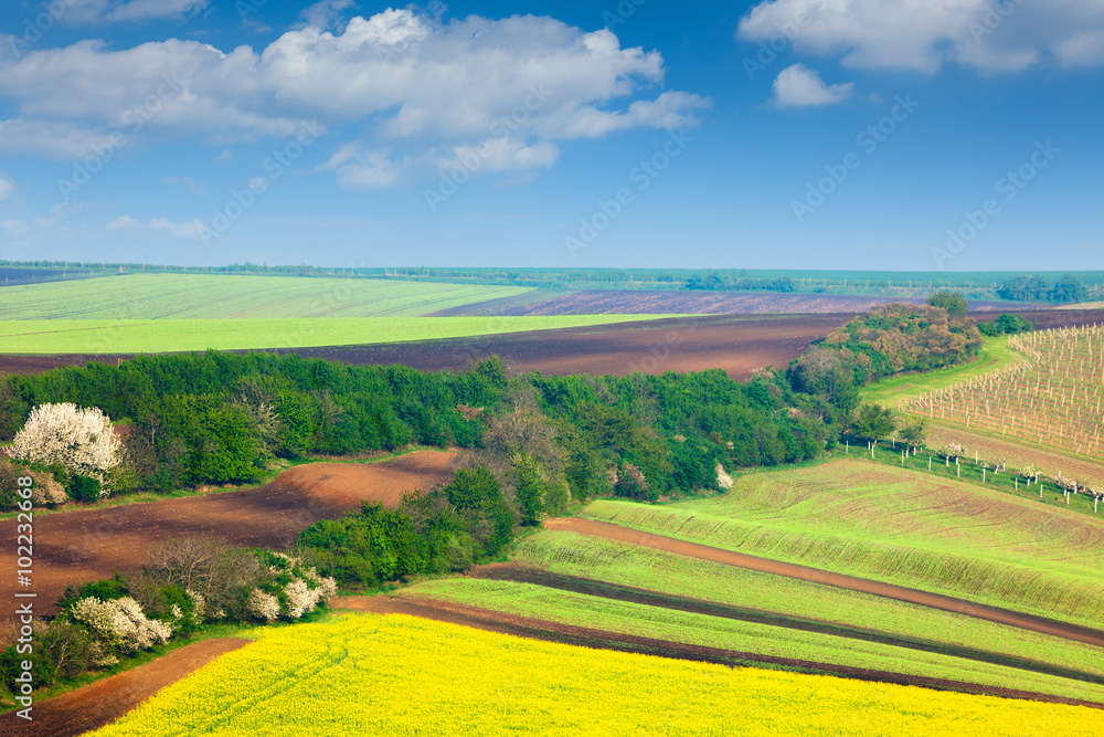 Сountryside Colorful Fields and Sky Background - nature landsca
