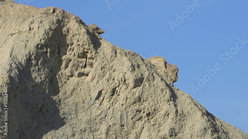 Rocks in Tabernas Desert © johnnywalker61