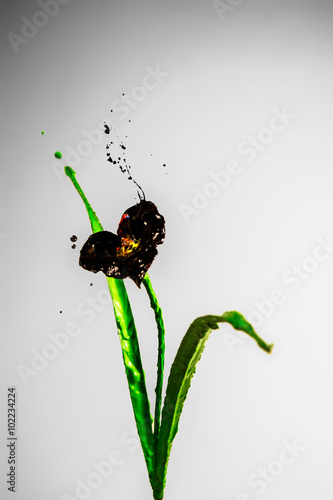 Fototapeta Naklejka Na Ścianę i Meble -  Black paint made lily flower