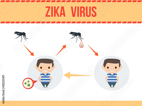 Mosquito bites infected man and spreads the zika virus